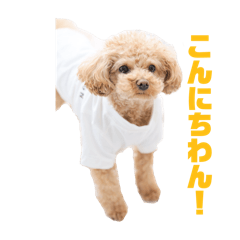 ペタラテノート1