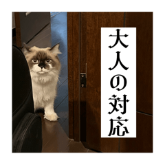 もっともっとみるくと暮らすスタンプ