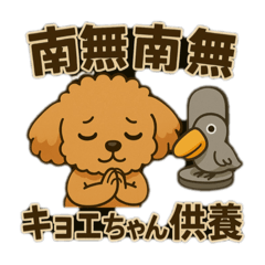 ポンちゃんシリーズ①