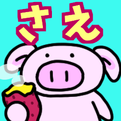 さえと申しますっ！！