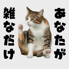 血液型cat【A型】- Part1