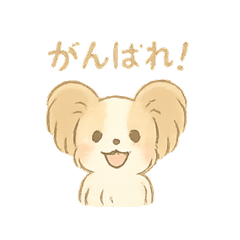 ゆるふわパピヨンの日常会話