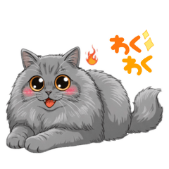 もふもふグレー猫