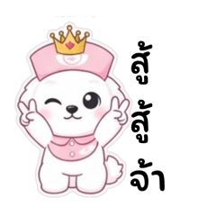 Gammie_20260117034322