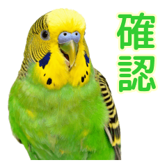 2回言う！おしゃべりセキセイインコ