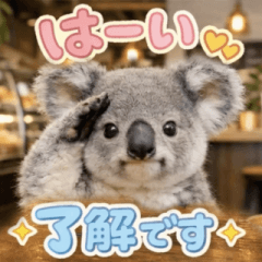 飛び出す♡コアラ