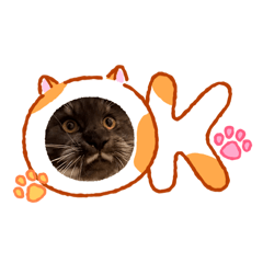 Tingyuwu_20260307131946