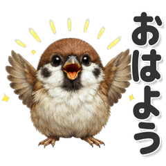 毎日使える！ スズメ