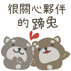 Caring Rock Badgers (hyraxes)-Ch