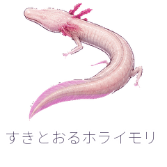すきとおるホライモリ