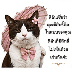 Sophisticated cat scolding