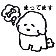 白いモフ犬の日常