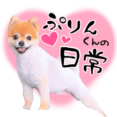 ぷりんくんの日常