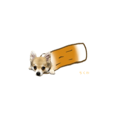 チワポメ ちくわ