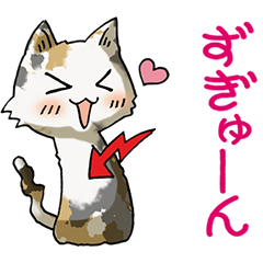 ネコ大好き！その15