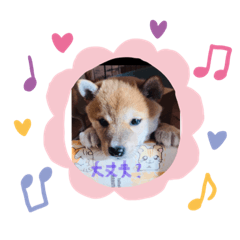 我が家の銀ミクロちゃん