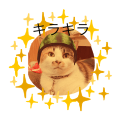 コココッペスタンプ