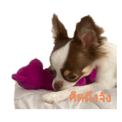 pimmy_20200327185801