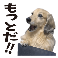 すえぞうの日常