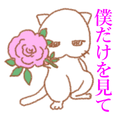 モテにゃんこ白