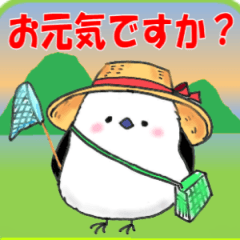 十勝ほんわかシマエナガ～夏