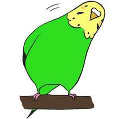 セキセイインコの日常