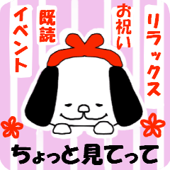 がまぐち犬だぞ！（応援とお祝い、時には）