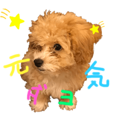 わんわん権左朗（ごんざぶろう）くん