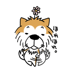 モフムクあきたいぬ