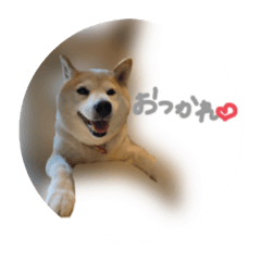 山田さん家の凛ちゃん　part.3