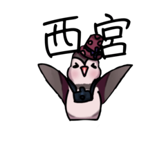 にしつーどり(西宮)