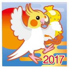 2017〜ほっぺがキュートなオカメインコ