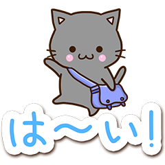 おちゃめな黒猫３