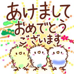 動くもふもふインコの冬毎年使える年末年始