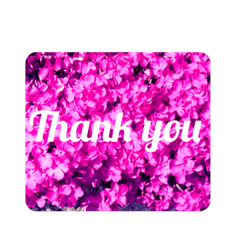 お花 Flower フラワー