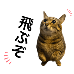 ぷぅちゃん♡②