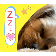 かわいい！ペロリんスタンプ❤️