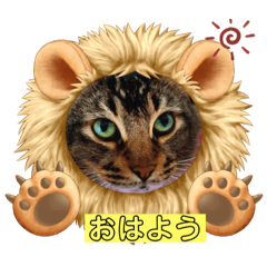 きなちゃん　リンタクンの挨拶スタンプ