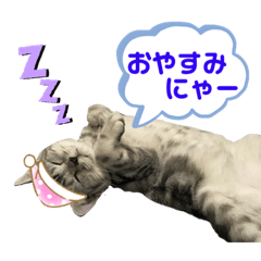 レオの日常にゃーごろく