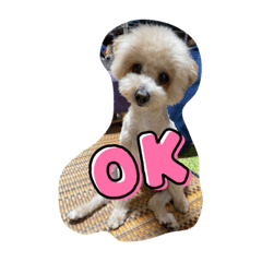 えびてんほんわか