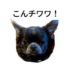 イラルアのお言葉