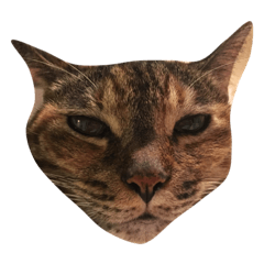 ちゃっぴー日常スタンプ