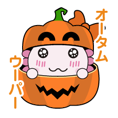 オータム ウーパー