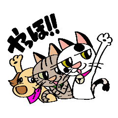仲良し犬猫３匹はあんぽこみーなのだ