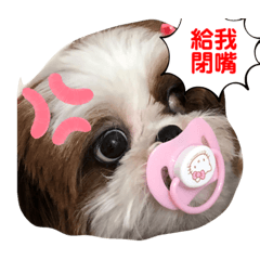 julie_20211103021725