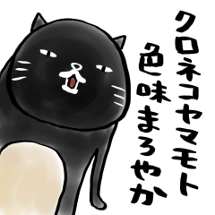 クロネコヤマモト 色味まろやか