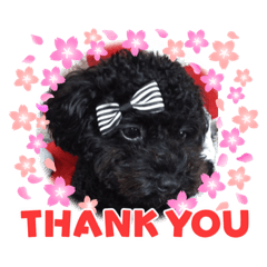 Brook_20220314223146