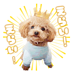 ごきげんチュー太郎