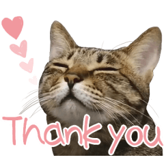 猫のすたんぷ。。。