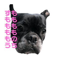 すももふぇいす